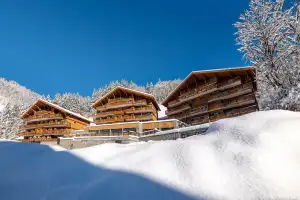 MGM CHALETS DE JOY