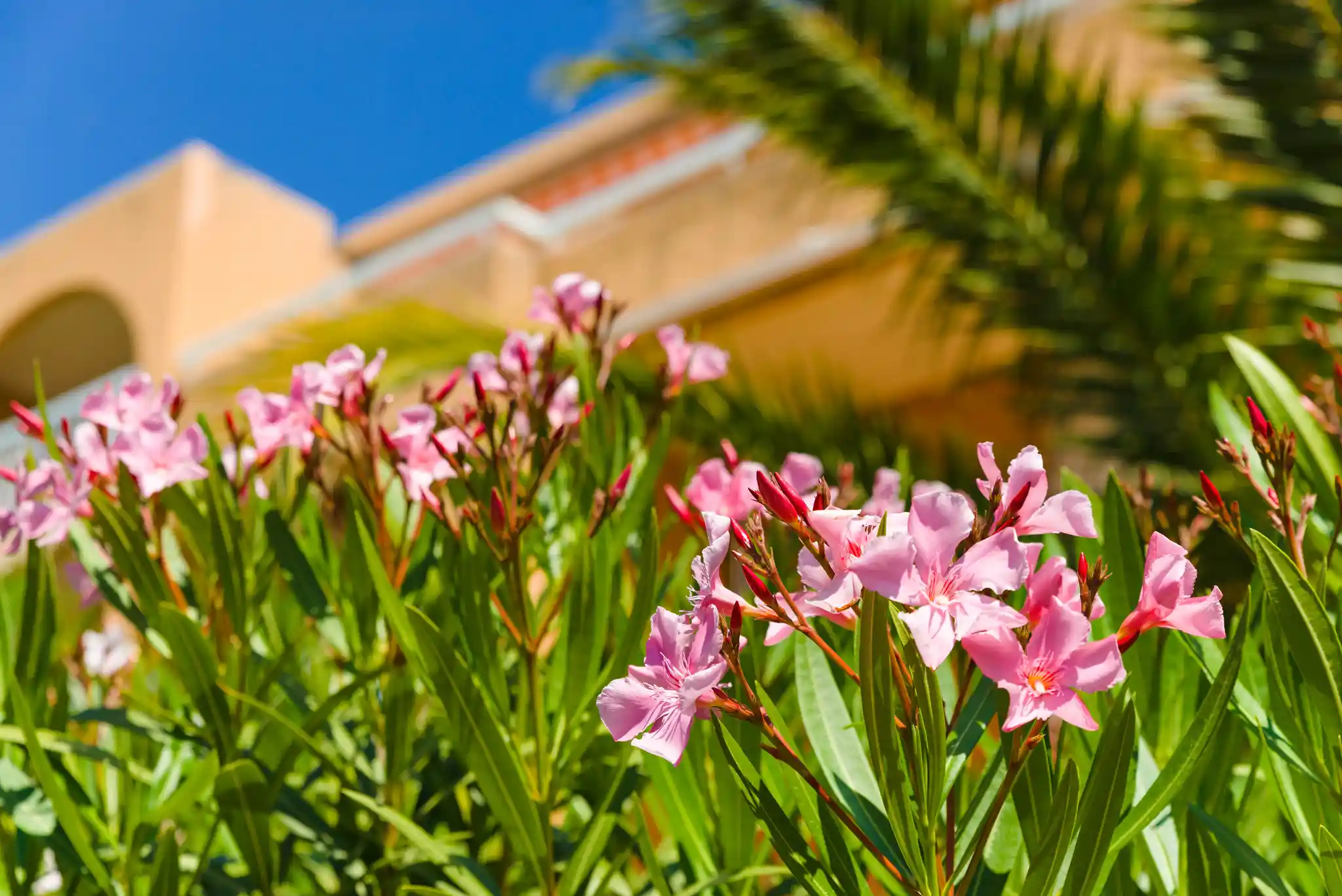 Lagrange Vacances&reg;  - Cavalaire - Villa Barbara