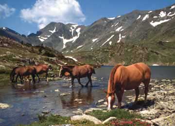 SKISTATION : Font-Romeu