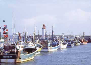 SKISTATION : Ile d'oleron